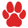 Dog Dayze- Doggie Daycare & Boarding