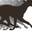 Advanced Canine Rehabilitation