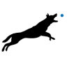 dogtrainer - výcvik psov Hamuliakovo