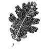 Domaine du Castellas