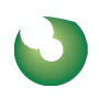 Domiano Eye Care