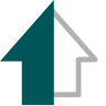 DOMUS SOLUZIONI IMMOBILIARI