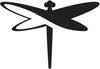 Dragonfly Health Space