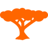 Dragon Tree Travel