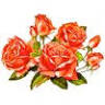 Dreaming Roses Eco-B&B