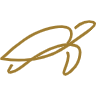 Dream Yacht Sales & Ownership