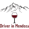 Driver in Mendoza - Mendoza Wine Tours
