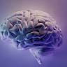 Dr Marcelo Zalli Neurologista Balneario Camboriu