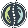 Dr Mo Chiropractic