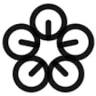 Drone Emotions Srl