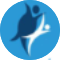 Dr Phil Lockie - Brisbane Weight Loss Surgery