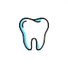 Scott E. Prawat, DDS