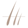 Dr Serkan Aygın Hair Transplant Clinic - Istanbul Turkey