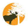 Drabik Orthodontics of Rochester