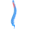Dr. Sunny Shethna, Board Certified Spine Surgeon, Best Spine Specialist, Navsari, Gujarat