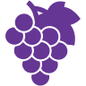 Druivenpitolie