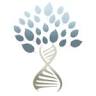 The Falcone Center for Functional, Cosmetic & Regenerative Medicine