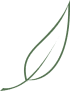 Acupuncture & Herb Health Center