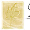 West Maple Plastic Surgery