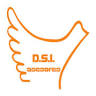 ASESORIA : DSI ASESORES