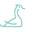 DUCK DECOR