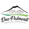Azienda agricola Due Palmenti