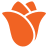 Dutch Mill Bulb Inc