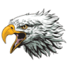 Eagle Camper Trailers
