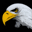 Eagle Eye Traffic Services Australia Pty Ltd