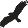 Eagle Point Insurance Group