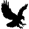 Eagle Research Inc
