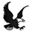 Eagle Ridge Enterprises