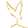 Eagle Rock Dental Care