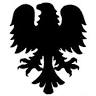 Eagle Security Systems Limited