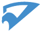 Eagles Insurance Agency Inc