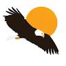 Eagle's Nest Veterinary Hospital