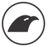 Eagle Technocast
