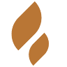 Kiawe Roots