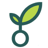 Sproutz - Sunny Isles