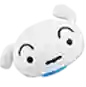 ECCUTS