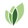 Eco-Combustión