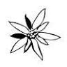 Edelweiss Wood Flooring