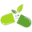 Drogheria Viomed