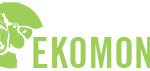 Ekomont