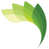 Elan Dental Group - Abbot Road