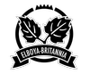 Elboya Heights Community Association Rink