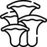 El Brote