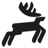 Elektro Hirsch