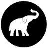 Elephant Special Tours