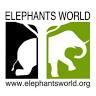Elephants World